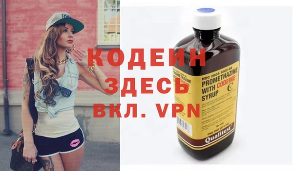 индика Волоколамск