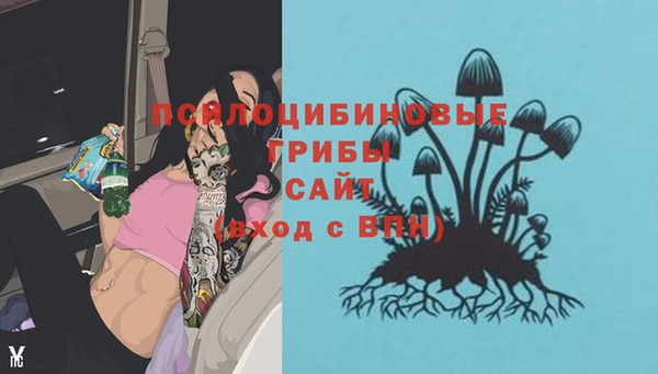 индика Волоколамск