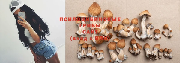 индика Волоколамск