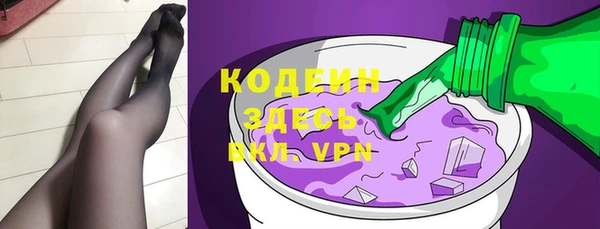 индика Волоколамск