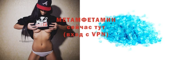 индика Волоколамск