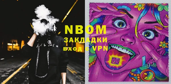 индика Волоколамск