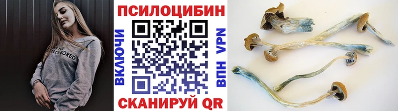 Галлюциногенные грибы Magic Shrooms  Купить  Краснодар 